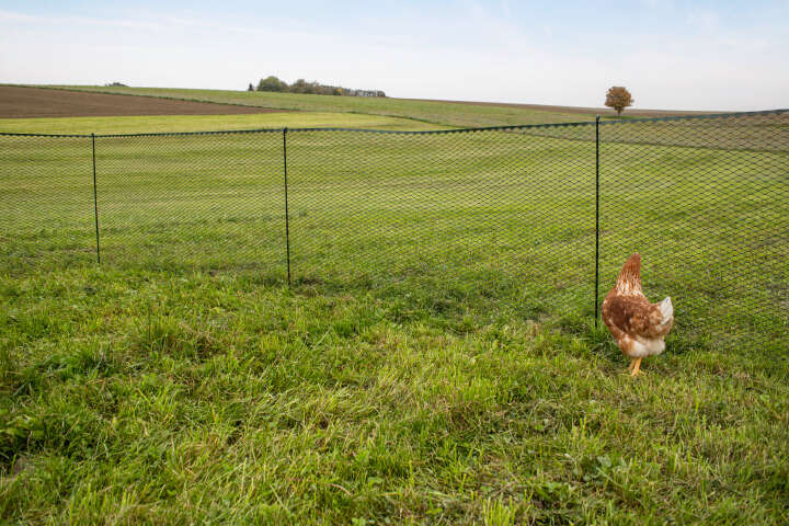 KERBL Universalzaun Multifence